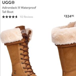 Adirondack III Waterproof Tall Boot- chestnut